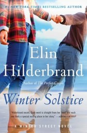 Winter Solstice - A Novel cover image