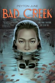 Bad Creek cover image