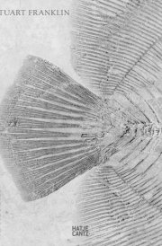 Analogies cover image