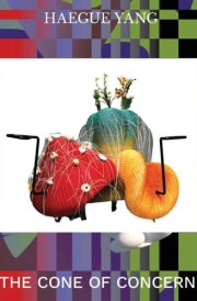 Haegue Yang: the Cone of Concern cover image