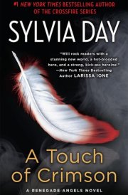 A Touch of Crimson A Renegade Angels Novel cover image