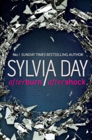 After Burn After Shock cover image