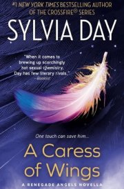 A Caress of Wings cover image