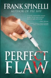 Perfect Flaw cover image