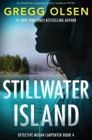 Stillwater Island An Absolutely Gripping Mystery Suspense Thriller cover image