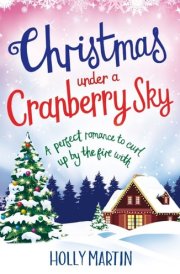 Christmas Under a Cranberry Sky: A perfect romance to curl up by the fire with (A Town Called Christmas Book 1) cover image