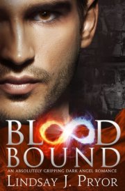 Blood Bound: An absolutely gripping dark angel romance (Blackthorn Book 7) cover image