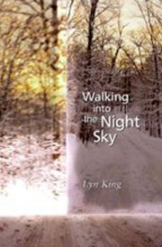 Walking Into the Night Sky cover image