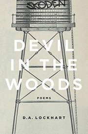 Devil in the Woods cover image