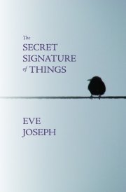 The Secret Signature of Things cover image