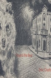 Angel and the Bear cover image