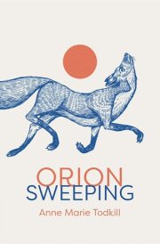 Orion Sweeping cover image
