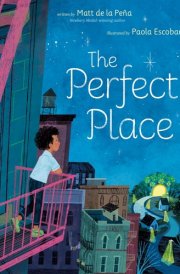 The Perfect Place cover image