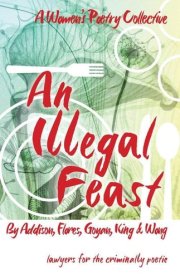 An Illegal Feast cover image