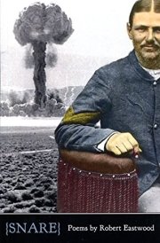 Snare cover image