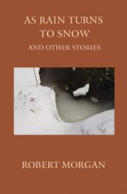 As Rain Turns to Snow and Other Stories cover image