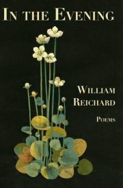 In the Evening Poems cover image