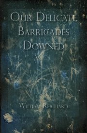 Our Delicate Barricades Downed Prose Poems cover image