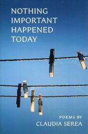 Nothing Important Happened Today cover image