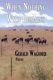 When Nothing Wild Remains cover image