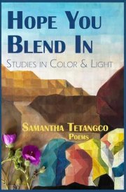 Hope You Blend in Studies in Color & Light cover image