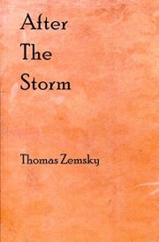 After the Storm cover image