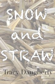 Snow and Straw Three Novellas on the Life of Poetry cover image