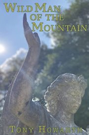 Wild Man of the Mountain cover image