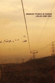 Midnight Picnics in Tehran cover image