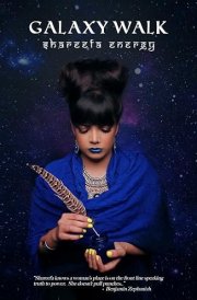 Galaxy Walk cover image