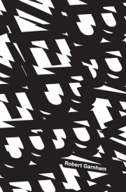 Zebra cover image
