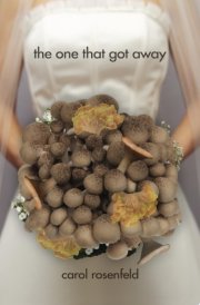 The One That Got Away cover image
