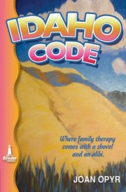 Idaho Code cover image