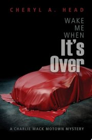 Wake Me When It's Over cover image