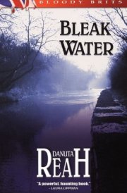 Bleak Water cover image