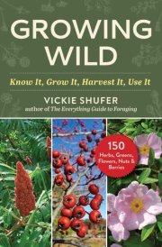 The Forager's Garden Cultivating Wild Plants for Food & Medicine cover image