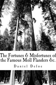 The Fortunes and Misfortunes of the Famous Moll Flanders &c cover image