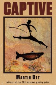 Captive cover image