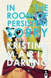 In the Room of Persistent Sorry Essays cover image
