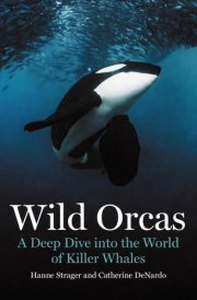 Wild Orcas A Deep Dive Into the World of Killer Whales cover image