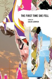 The First Time She Fell cover image