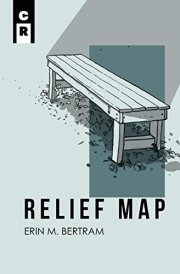 Relief Map cover image