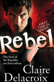 Rebel cover image