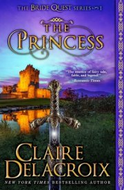 The Princess A Medieval Fairy Tale Romance cover image