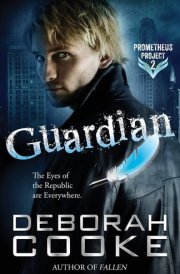 Guardian cover image