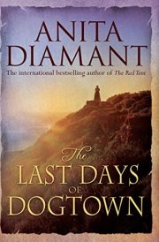 The Last Days of Dogtown A Novel cover image