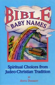 Bible Baby Names cover image