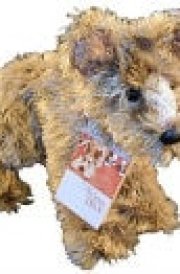 Because of Winn-Dixie Plush cover image