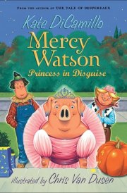 Princess in Disguise cover image