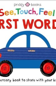 See Touch Feel: First Words A Sensory Book for Babies and Toddlers cover image